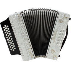 Rizatti Bronco RB31GW Diatonic Accordion