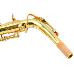 Z ZTDM Professional Alto Eb Saxophone sax with Mouthpiece  Paint